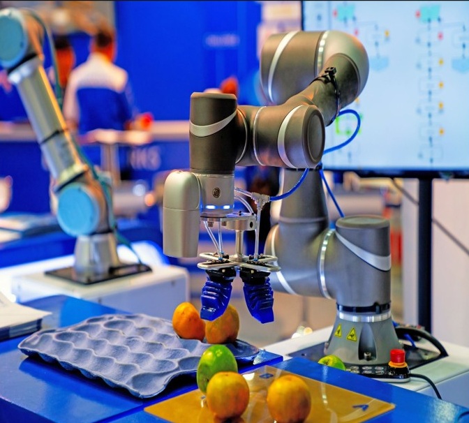 Advanced Robot Vision - AI-powered visual perception for precision automation