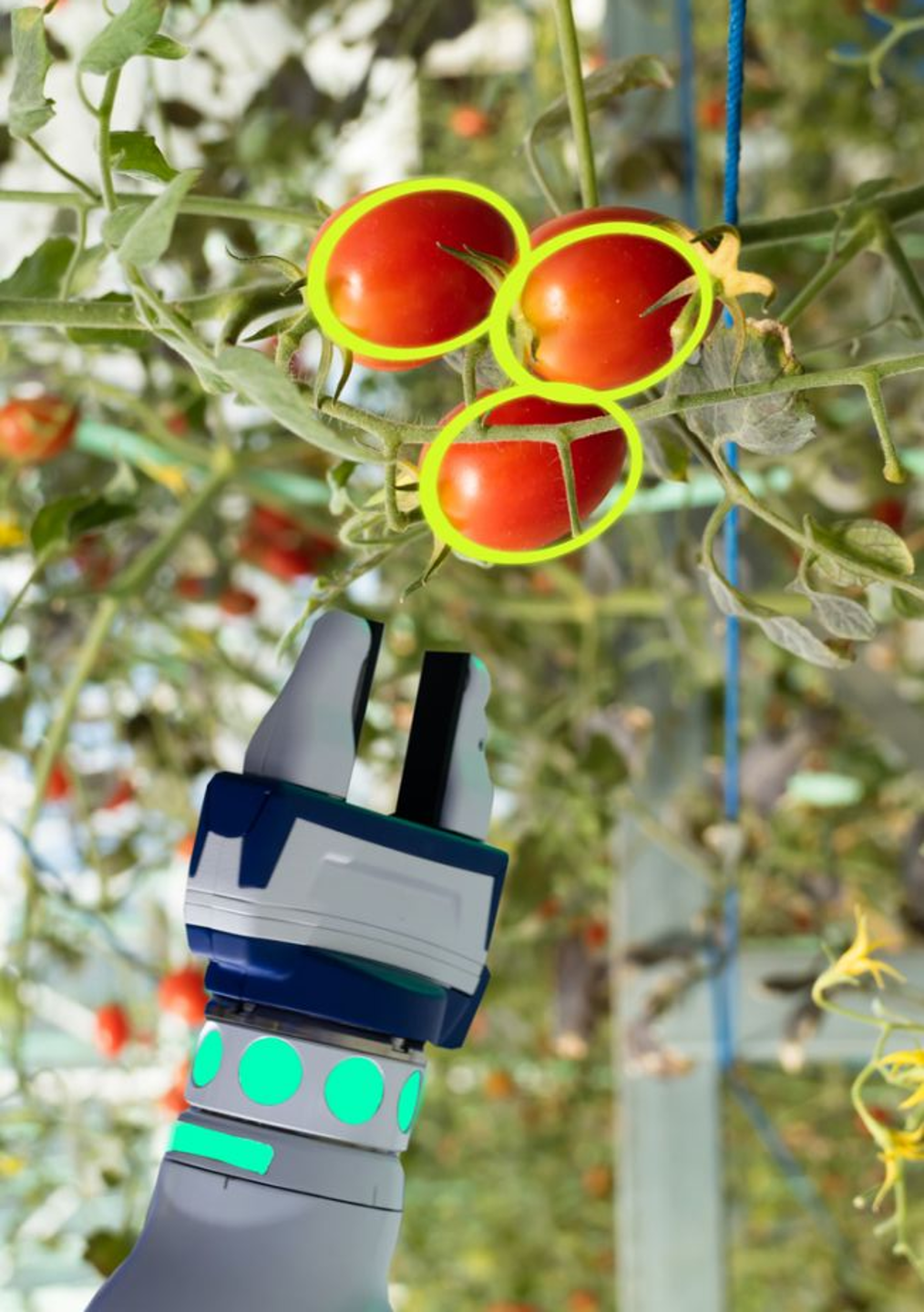 Vision-Based Quality Control - Real-time defect detection and classification